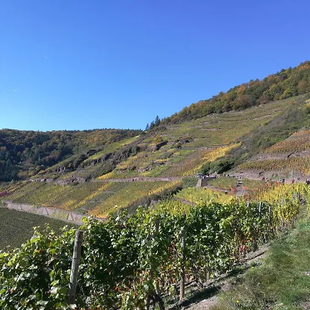 Ahrhotel Am Rossberg 3* Altenahr