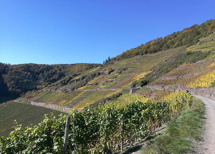 Am Rossberg 3* Altenahr